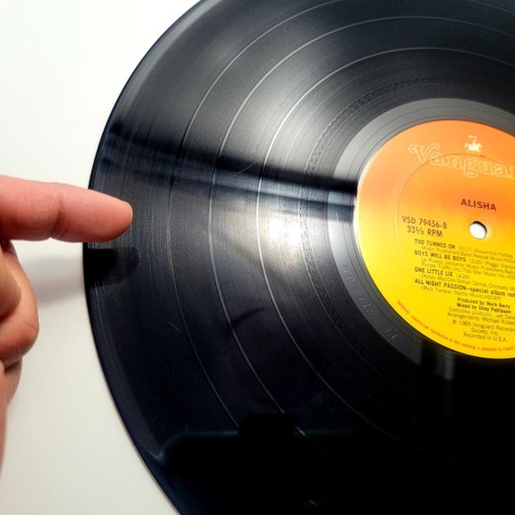 Alisha - Alisha (LP, Album) - Picture 12 of 12